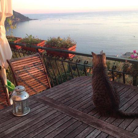 B&B Case Rosse Camogli Bagian luar foto