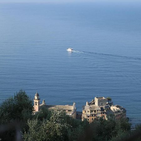 B&B Case Rosse Camogli Bagian luar foto