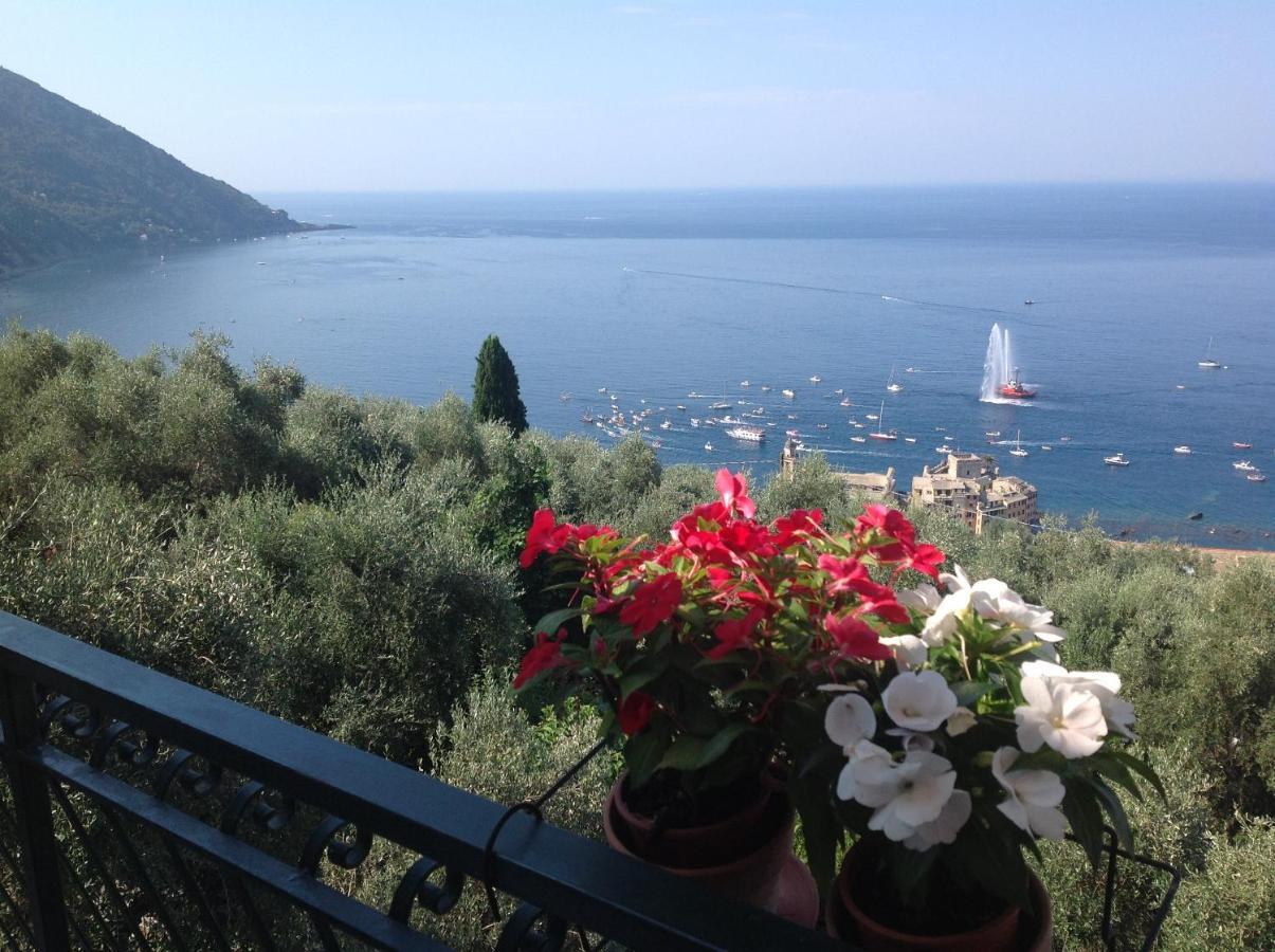 B&B Case Rosse Camogli Bagian luar foto