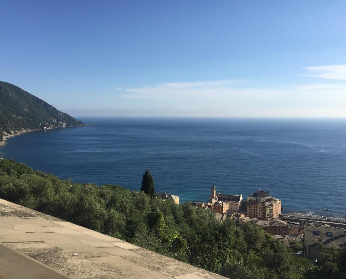 B&B Case Rosse Camogli Bagian luar foto